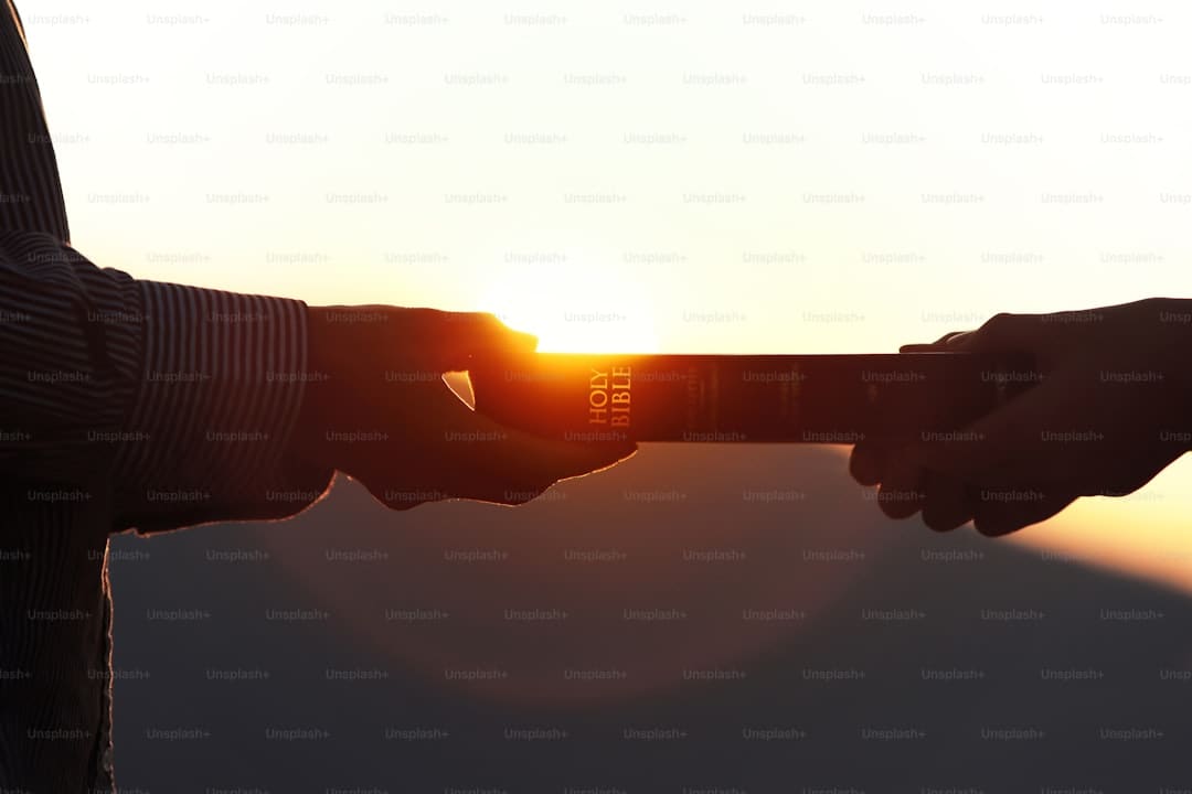 寒武纪进阶曲：国产AI芯片的突围之路